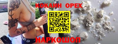 тгк Новодвинск