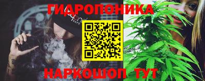 тгк Новодвинск