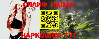 шишки Новозыбков