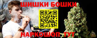 шишки Новозыбков