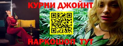 тгк Новодвинск