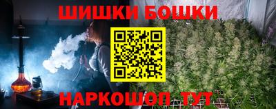 тгк Новодвинск