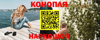 шишки Новозыбков