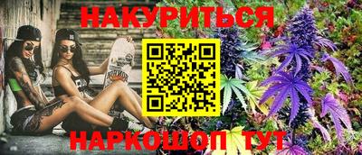 тгк Новодвинск